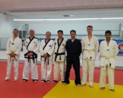 Stage de Hapkido avec Maître Ung Seo Ju, 8ème Dan. Richard, Mattew et David