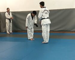 Remise de la ceinture noire Remise de ceinture après réussite