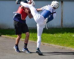 David vs Florian